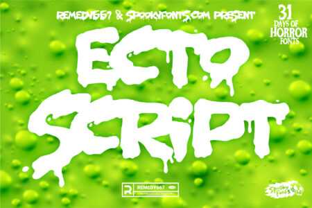 Ecto Script