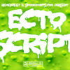 Ecto Script